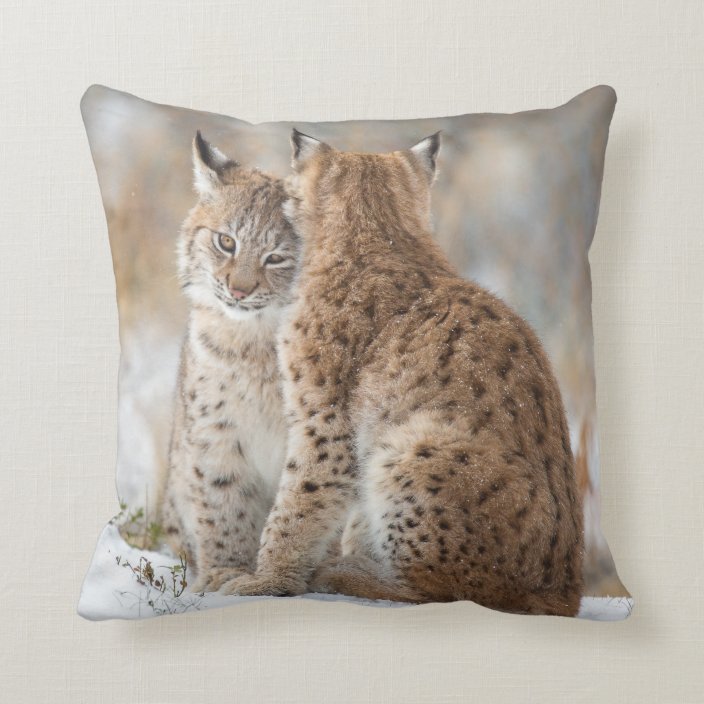 lynx body pillow