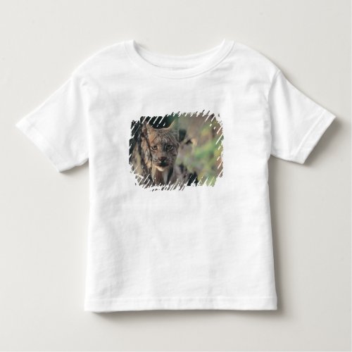 Lynx Lynx canadensis Denali National Park Toddler T_shirt