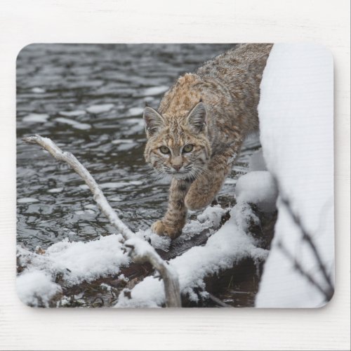 Lynx Mouse Pad