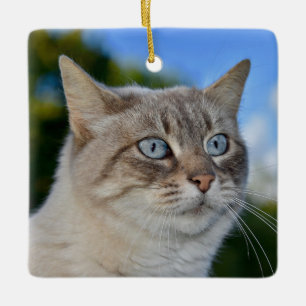 Lynx Point Cat with Blue Eyes Ceramic Ornament