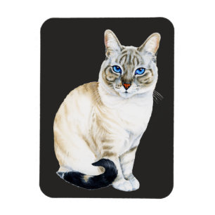 Lynx Point Siamese Cat Magnet