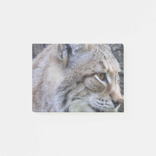 Lynx Post-it Notes (Front)