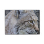 Lynx Post-it Notes