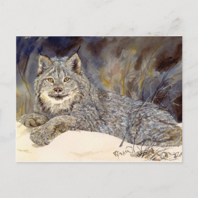 Lynx Postcard (Front)
