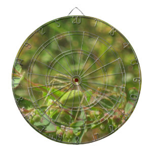 Lynx Spider Dart Board
