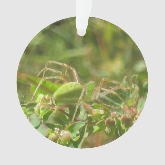 Lynx Spider Ornament (Front)