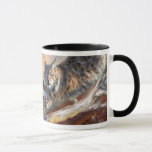 Lynx Spirit Art Mug