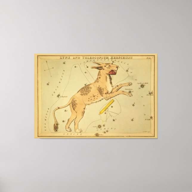 Lynx - Vintage Astronomical Star Chart Image Canvas Print (Front)