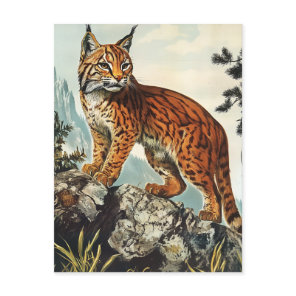 Lynx vintage postcard