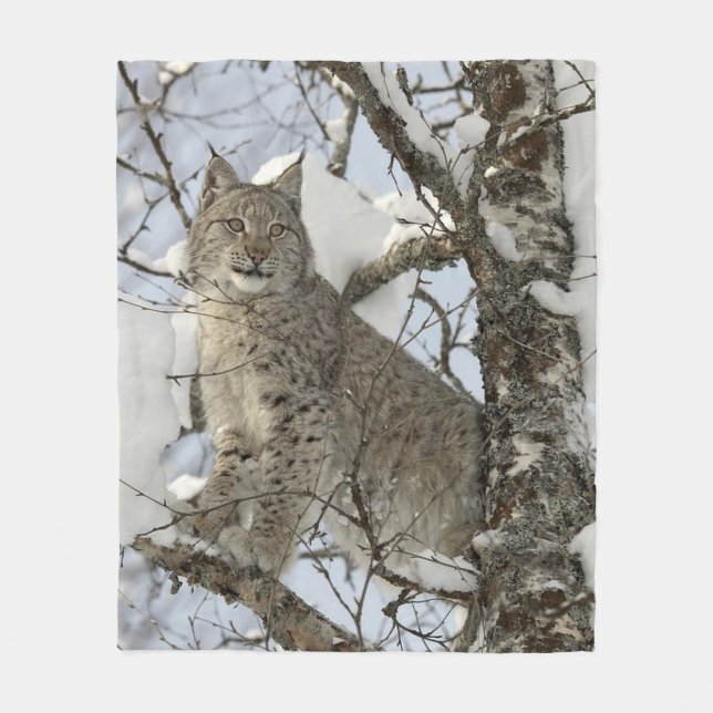 Lynx Wild Cat Fleece Blanket (Front)