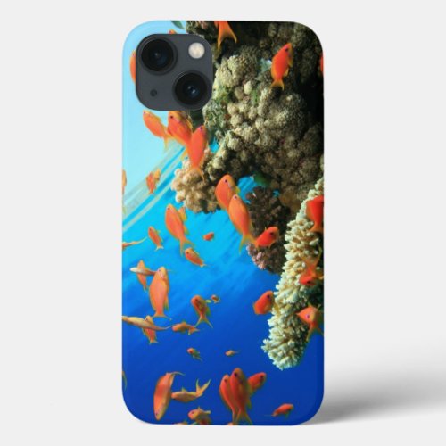 Lyretail anthias on coral reef iPhone 13 case