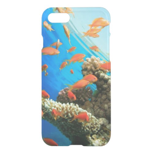 Lyretail anthias on coral reef iPhone SE87 case