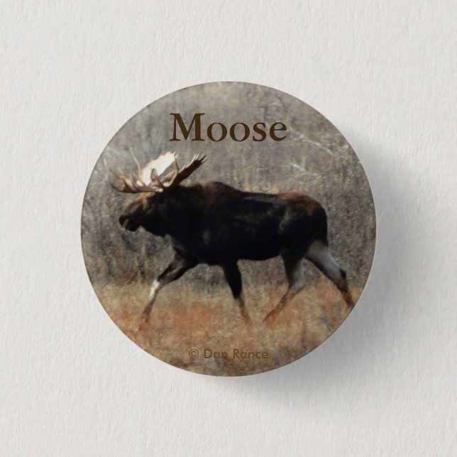 M10 Bull Moose Pinback Button (Front)