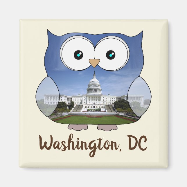M190132 Chubby Owl | Washington DC i Souvenir Magnet (Front)