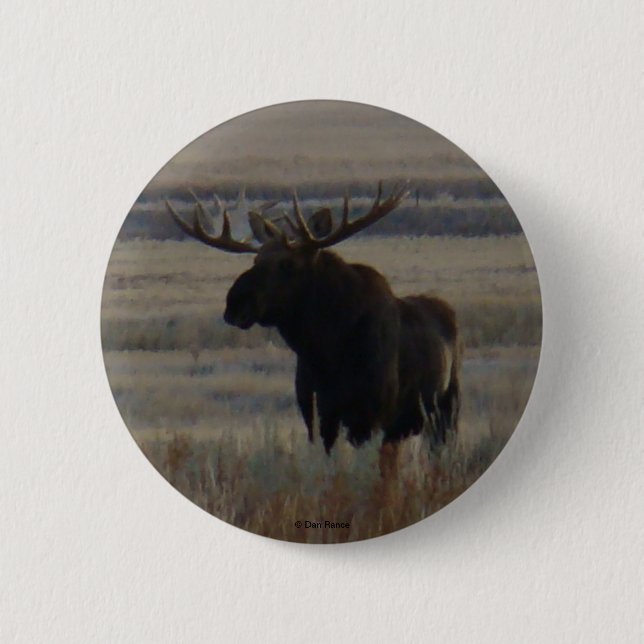 M1 Bull Moose Pinback Button (Front)