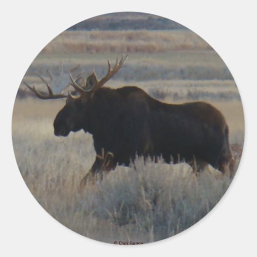 M2 Bull Moose Big Bull Classic Round Sticker