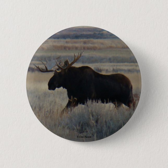 M2 Bull Moose Button (Front)
