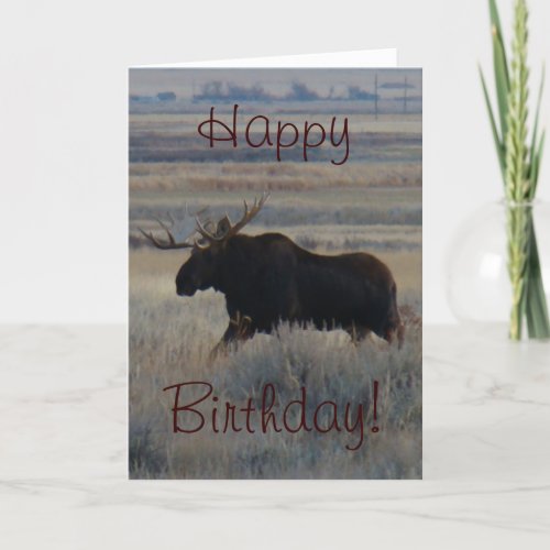 M2 Bull Moose Card