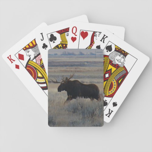 M2 Bull Moose Poker Cards