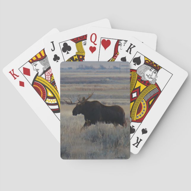 M2 Bull Moose Poker Cards (Back)