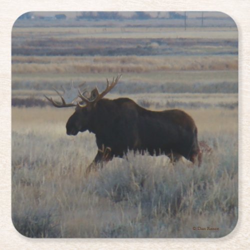 M2 Bull Moose Square Paper Coaster