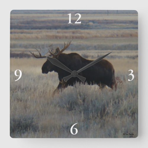 M2 Bull Moose Square Wall Clock