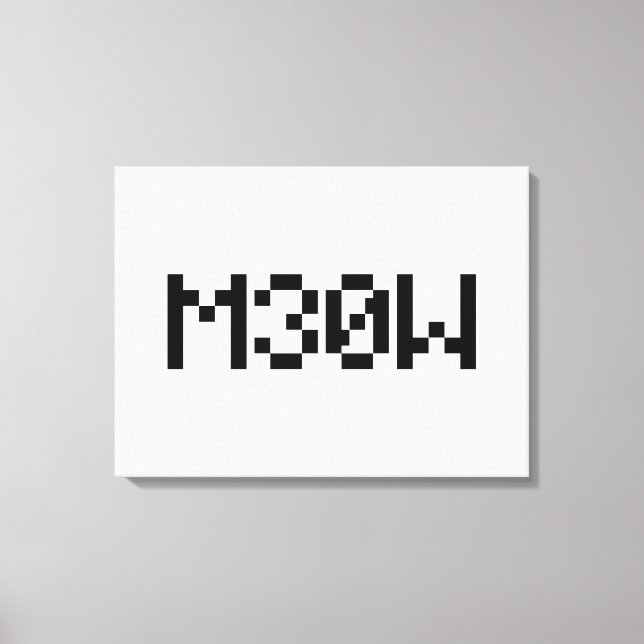 M30W [Leetspeak Animal Sounds] Canvas Print (Front)