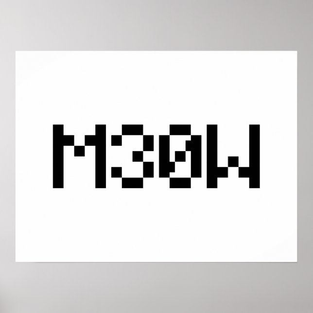 M30W [Leetspeak Animal Sounds] Poster (Front)