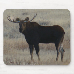 M4 Bull Moose Mouse Pad