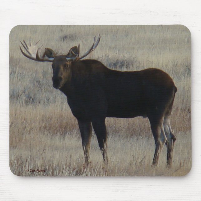 M4 Bull Moose Mouse Pad (Front)
