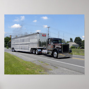M. Brown Kenworth W900B Poster