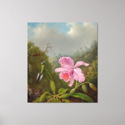 M HEADE _ Fighting Hummingbirds with Pink Orchids Canvas Print