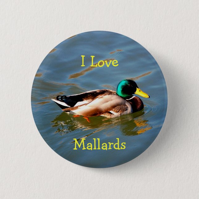 M is for Mallard - button (Front)