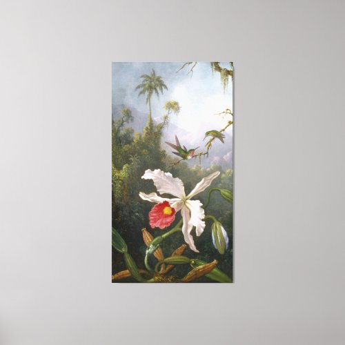 M J HEADE  Two Hummingbirds Above a White Orchid Canvas Print