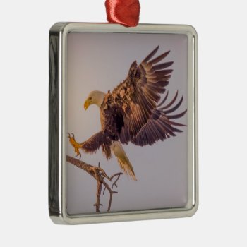 M Swfl Eagle Cam Ornament 2021 by SWFLEagleCam at Zazzle
