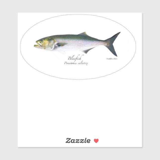 M Vinyl Bluefish Oval Sticker (Sheet)