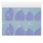 Ma Petite Belle Amour (Inside Horizontal (Bottom))