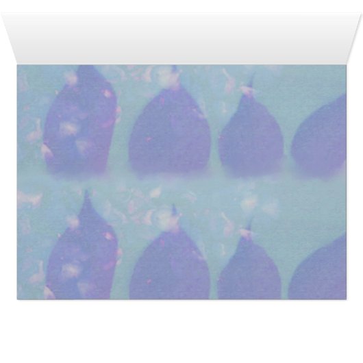 Ma Petite Belle Amour (Inside Horizontal (Bottom))