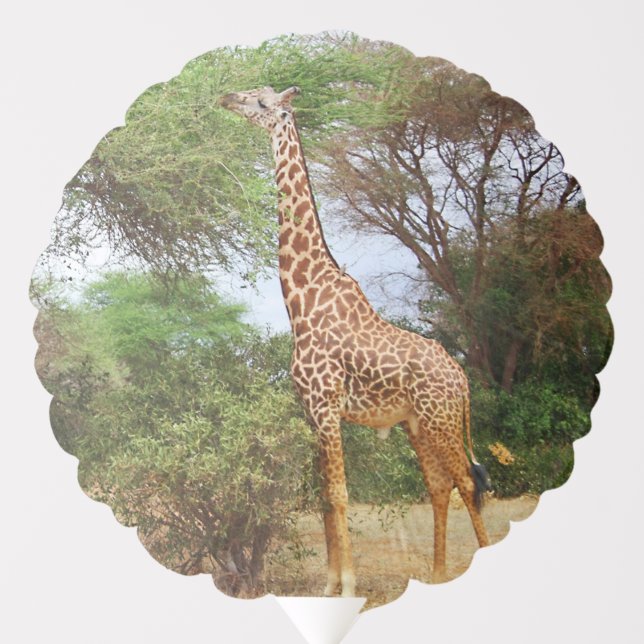 Maasai Giraffe Balloon (Front)