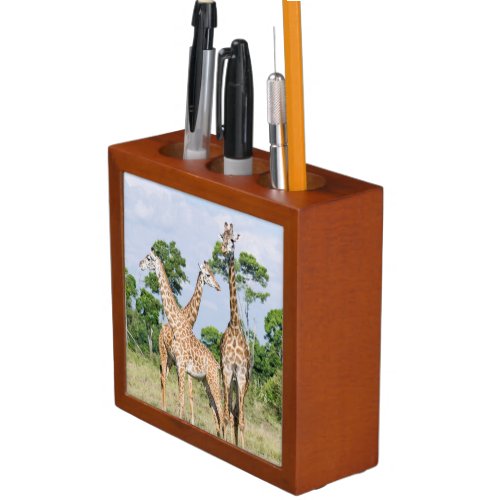 Maasai Giraffe Desk Organizer