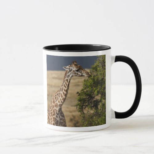 Maasai Giraffe Giraffe Tippelskirchi as seen 2 Mug