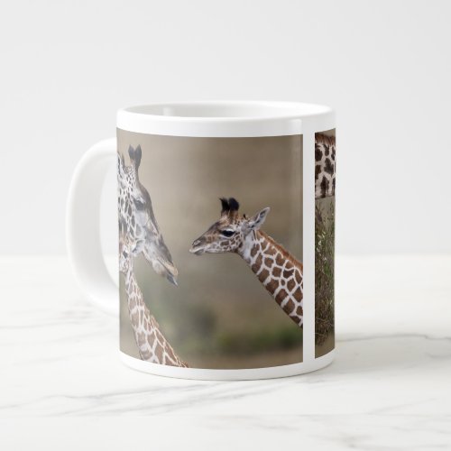 Maasai Giraffe Giraffe Tippelskirchi as seen Large Coffee Mug