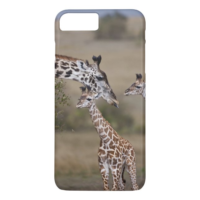 Maasai Giraffe (Giraffe Tippelskirchi) Case-Mate iPhone Case (Back)
