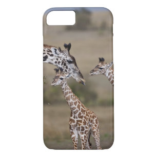 Maasai Giraffe (Giraffe Tippelskirchi) iPhone 8/7 Case