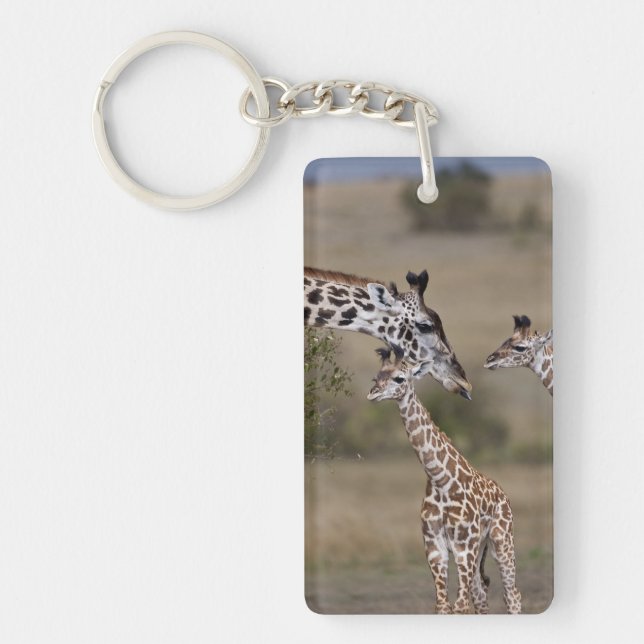 Maasai Giraffe (Giraffe Tippelskirchi) Keychain (Front)