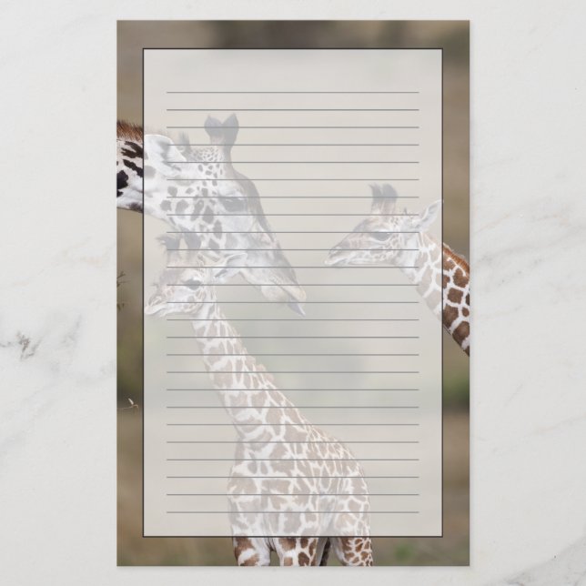 Maasai Giraffe (Giraffe Tippelskirchi) Stationery (Front)