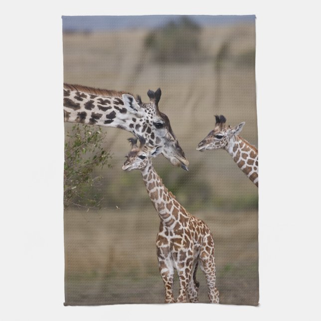 Maasai Giraffe (Giraffe Tippelskirchi) Towel (Vertical)