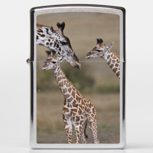 Giraffe Zippo Generic No Gifts | Zazzle