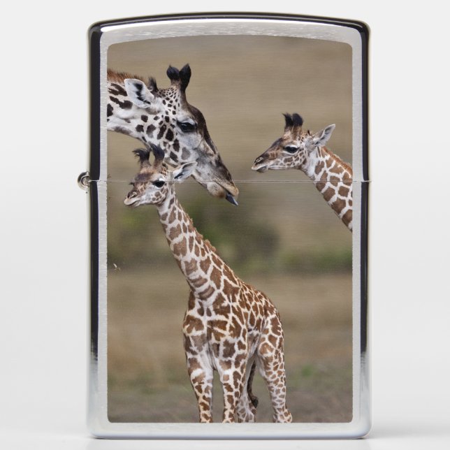Maasai Giraffe (Giraffe Tippelskirchi) Zippo Lighter (Front)
