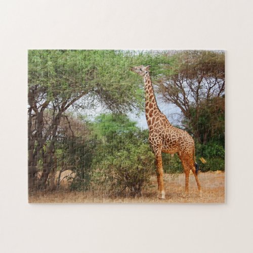 Maasai Giraffe Jigsaw Puzzle
